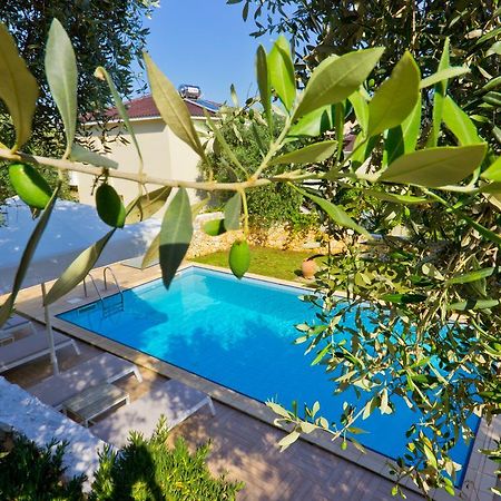 Thassian Villas 萨索斯 外观 照片